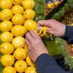 Zeste d'agrume dans la ville - 2021 (Fete du Citron? annulee / covid-19) - fruitage - structure